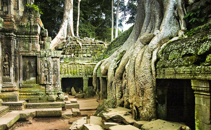 Le temple de Taprhom, Là où la jungle embrasse les vestiges du temps